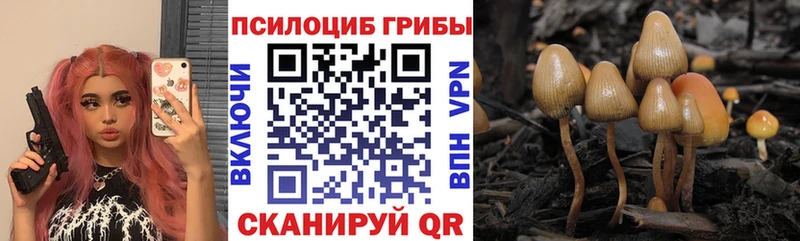 Псилоцибиновые грибы ЛСД  Купить где  Усолье 